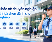 Dịch vụ bảo vệ chuyên nghiệp: 6 tiêu chí lựa chọn dành cho doanh nghiệp